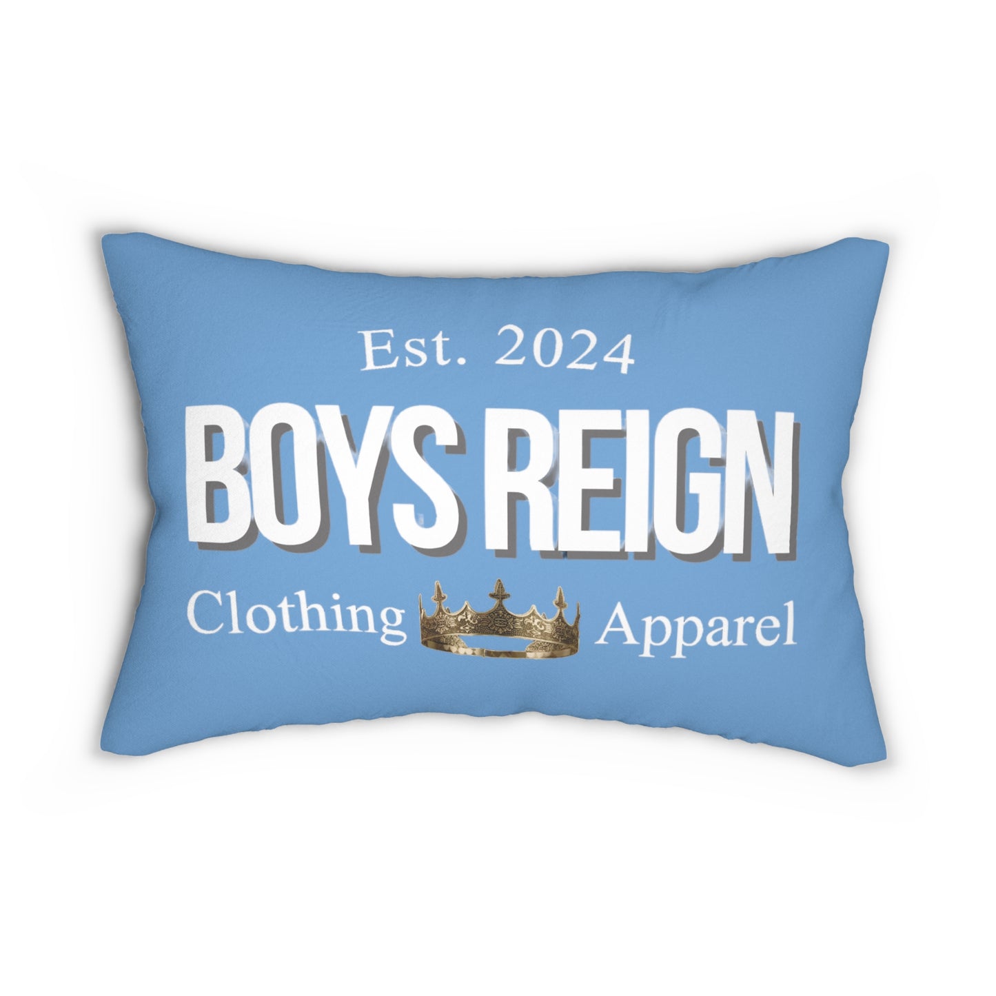 Spun Polyester Lumbar Pillow Classic White/Baby Blue - Boys Reign